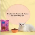 Vivaldis Bark Out Loud Cat Pillows Sensitive Gut Treats, 100g