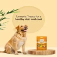 Vivaldis Bark Out Loud Glow & Shine Turmeric Chewstix Dog Treats, 100g