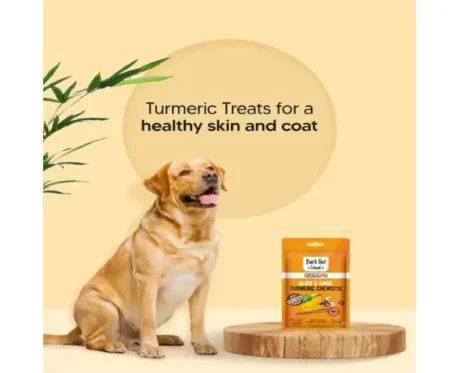 Vivaldis Bark Out Loud Glow & Shine Turmeric Chewstix Dog Treats, 100g at ithinkpets.com (2) (1)