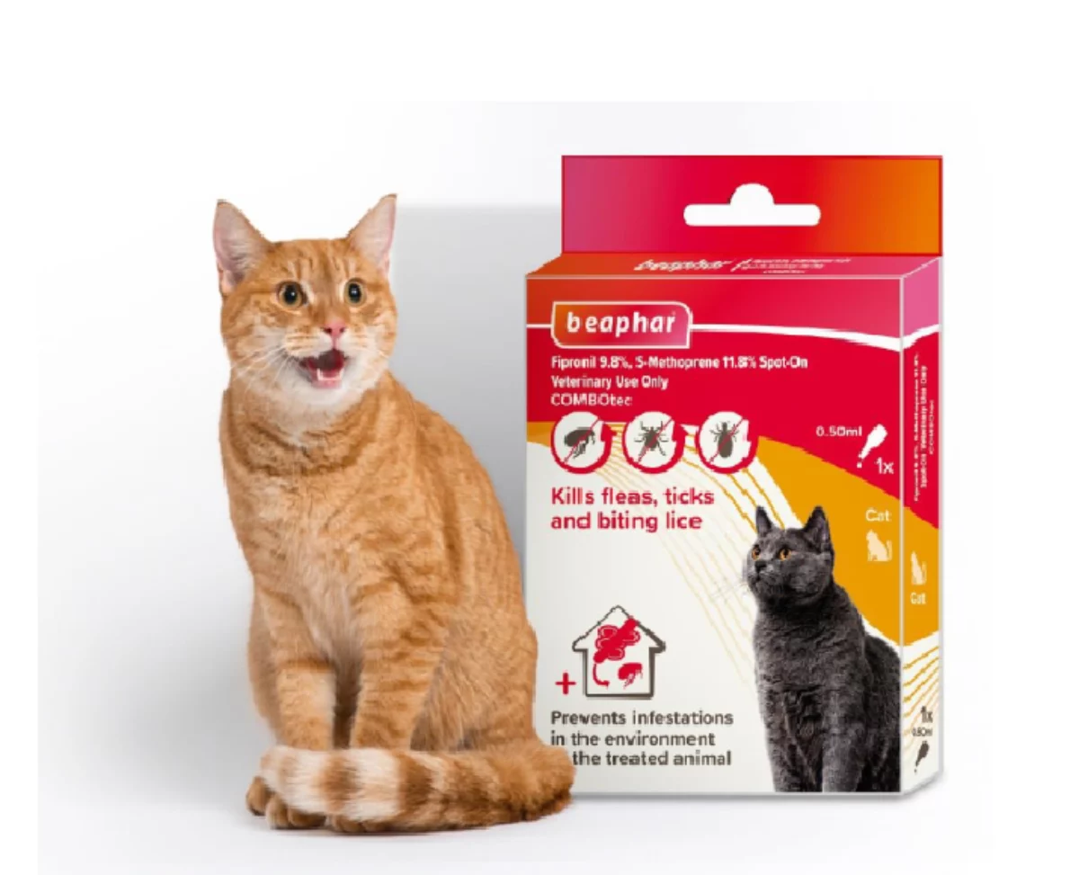 Buy Beaphar Combotec Flea Tick Spot On For Cats IThinkPets