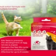 Beaphar Combotec Flea & Tick Spot On for Cat, 0.5 ML