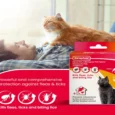 Beaphar Combotec Flea & Tick Spot On for Cat, 0.5 ML