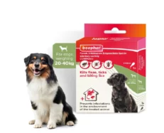 Beaphar Combotec Flea & Tick Spot On for Large Size Dog, 20-40 KG at ithinkpets.com (1)