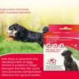 Beaphar Combotec Flea & Tick Spot On for Large Size Dog, 20-40 KG