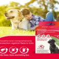 Beaphar Combotec Flea & Tick Spot On for Large Size Dog, 20-40 KG