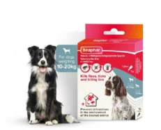 Beaphar Combotec Flea & Tick Spot On for Medium Size Dog, 10-20 KG at ithinkpets.com (1) (2)