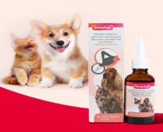 Beaphar Ear Cleaning Solution for Dogs and Cats, 50 ML at ithinkpets.com (2)