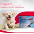 Beaphar Lactol Newborn Puppy Milk Replacer, 200 Gms