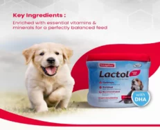 Beaphar Lactol Newborn Puppy Milk Replacer, 200 Gms at ithinkpets.com (2)