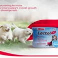 Beaphar Lactol Newborn Puppy Milk Replacer, 200 Gms