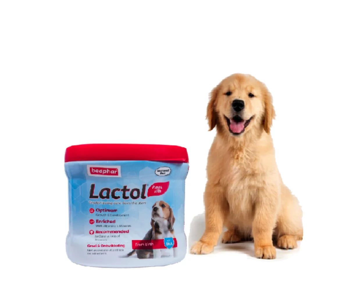 Lactol puppy milk powder best sale