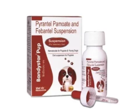 Mankind Bandystar Pup Deworming Suspension for Puppies, 20ml at ithinkpets.com (1) (1)