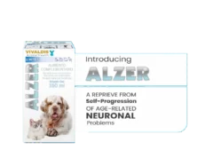 Vivaldis Alzer Syrup for Dogs & Cats, 150ml at ithinkpets.com (3) (1)