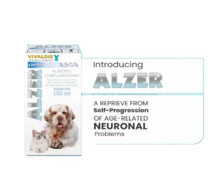 Vivaldis Alzer Syrup for Dogs & Cats, 150ml at ithinkpets.com (3) (1)