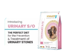 Vivaldis Urinary SO Dog Dry Food, 2 KG at ithinkpets.com (2) (1)