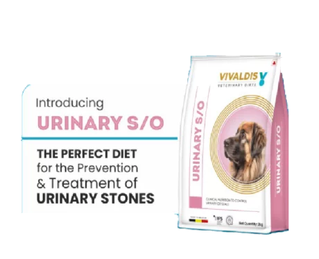 Vivaldis Urinary SO Dog Dry Food, 2 KG at ithinkpets.com (2) (1)