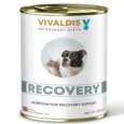 Vivaldis Veterinary Diets Recovery Can For Cats & Dogs, 395 Gms