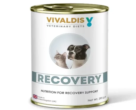 Vivaldis Veterinary Diets Recovery Can For Cats & Dogs, 395 Gms at ithinkpets