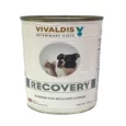 Vivaldis Veterinary Diets Recovery Can For Cats & Dogs, 395 Gms