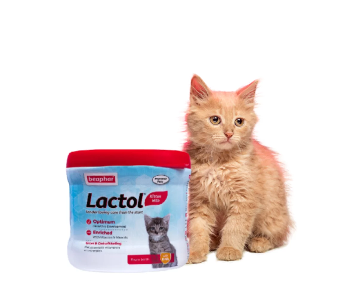 Beaphar lactol for kittens hotsell