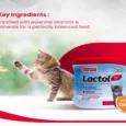 Beaphar Lactol Newborn Kitten Milk Replacer, 200 Gms