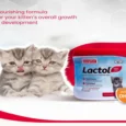 Beaphar Lactol Newborn Kitten Milk Replacer, 200 Gms