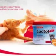 Beaphar Lactol Newborn Kitten Milk Replacer, 200 Gms