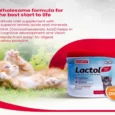 Beaphar Lactol Newborn Kitten Milk Replacer, 200 Gms