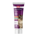 Bio PetActive Derma Cat Paste, For Skin & Coat Health, 100 ML