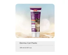 Bio PetActive Derma Cat Paste, For Skin & Coat Health, 100 ML at ithinkpets.com (2) (1)