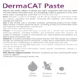 Bio PetActive Derma Cat Paste, For Skin & Coat Health, 100 ML