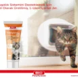 Bio PetActive Feli̇lysi̇ne Gel L Lysine Supplements for Cat, 100 ML