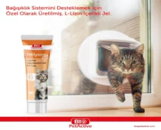 Bio PetActive Feli̇lysi̇ne Gel L Lysine Supplements for Cat, 100 ML at ithinkpets.com (2)