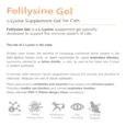 Bio PetActive Feli̇lysi̇ne Gel L Lysine Supplements for Cat, 100 ML