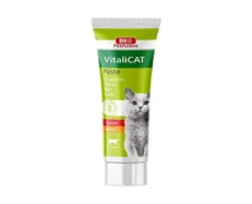 Bio PetActive Vitalicat Vitamin Paste for Cats, Maintain Mood, Memory & Metabolism, 100 ML at ithinkpets.com (1)