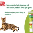 Bio PetActive Vitalicat Vitamin Paste for Cats, Maintain Mood, Memory & Metabolism, 100 ML