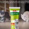 Bio PetActive Vitalicat Vitamin Paste for Cats, Maintain Mood, Memory & Metabolism, 100 ML