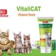 Bio PetActive Vitalicat Vitamin Paste for Cats, Maintain Mood, Memory & Metabolism, 100 ML