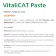 Bio PetActive Vitalicat Vitamin Paste for Cats, Maintain Mood, Memory & Metabolism, 100 ML