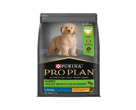 Purina Pro Plan Chicken Large Breed Puppy Dog Dry Food at ithinkpets.com (1) (1)