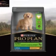 Purina Pro Plan Chicken Large Breed Puppy Dog Dry Food