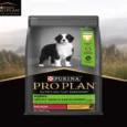 Purina Pro Plan Chicken Medium Breed Puppy Dog Dry Food