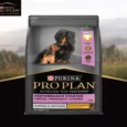 Purina Pro Plan Chicken Mother and Puppy Starter Dog Dry Food