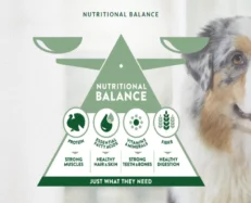 Affinity LIBRA Light Weight Management with Turkey Dog Food at ithinkpets.com (2)