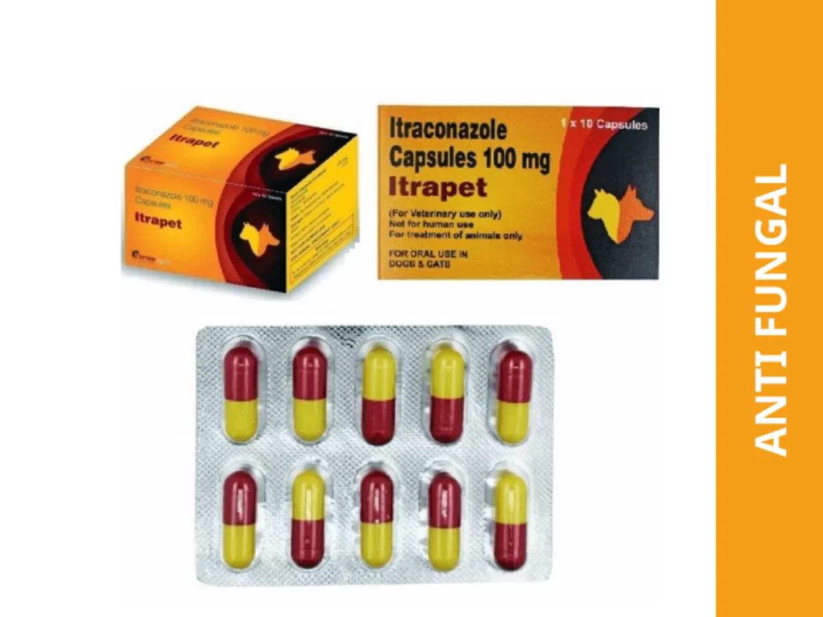 Buy Corise Itrapet (Itraconazole) Tablet For Dogs Cats