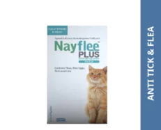 Intas Nayflee Plus Spot On For Cat, 0.5ml at ithinkpets.com (1) (1) (1)