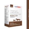 Savavet Bioclan Clindamycin Oral Solution for Dogs and Cats, 20 ML