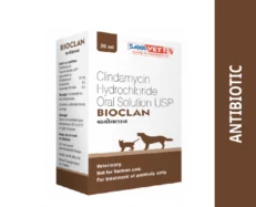 Savavet Bioclan Clindamycin Oral Solution for Dogs and Cats, 20 ML at ithinkpets.com (1) (1)