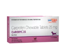 Savavet Carodyl Carprofen for Dogs, 25 Mg, 30 Tablets at ithinkpets.com (1) (1)