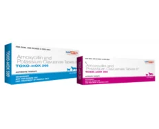 Savavet Toxo Mox Amoxycillin Tablets for Dogs & Cats, 20 Tablets at ithinkpets.com (2)